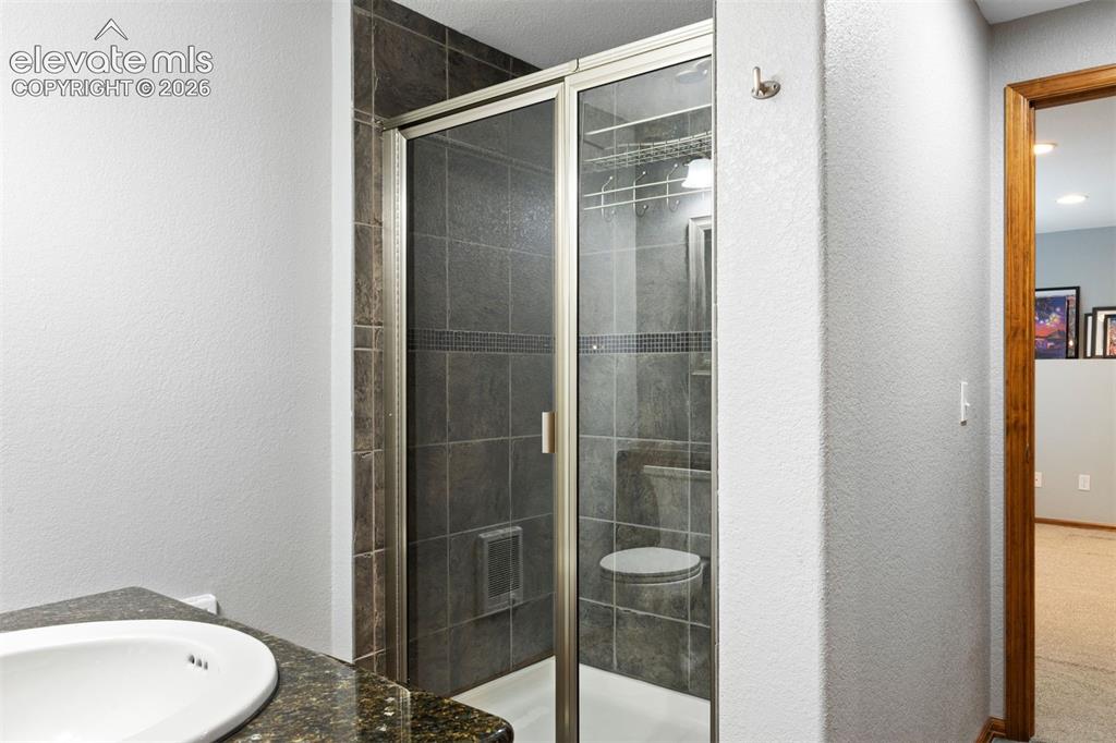1720 Wild Rye Court Castle Rock CO 80109