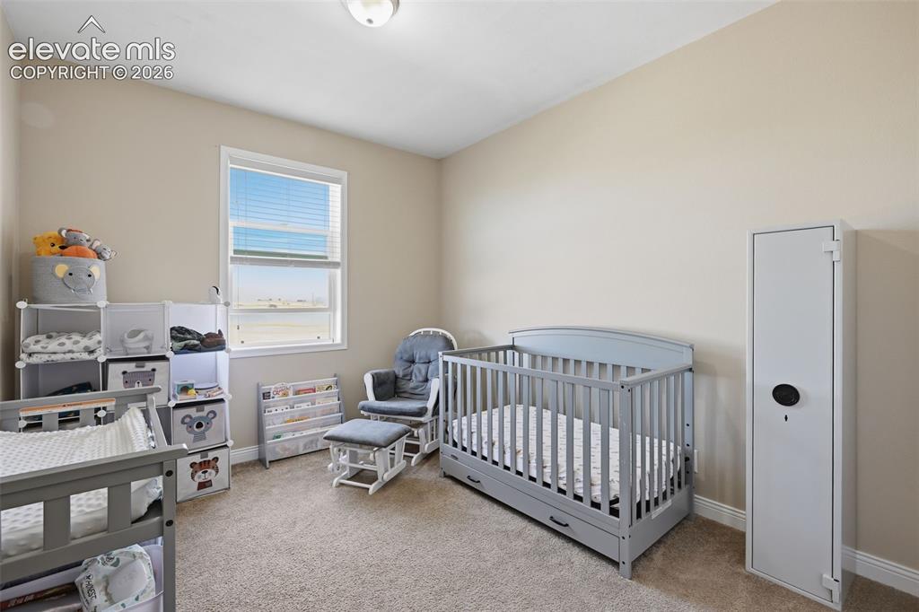 13620 Noah Abel Point Calhan CO 80808