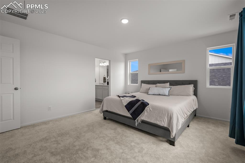 5677 Mammoth Lane Colorado Springs CO 80927