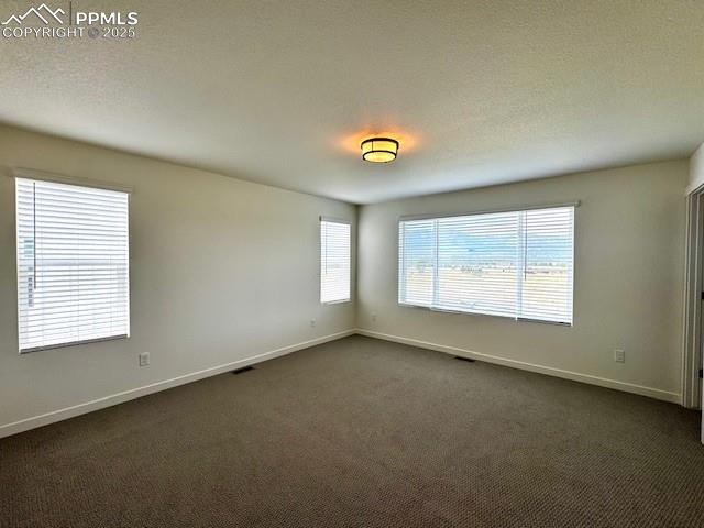 17724 Brass Buckle Way Monument CO 80132
