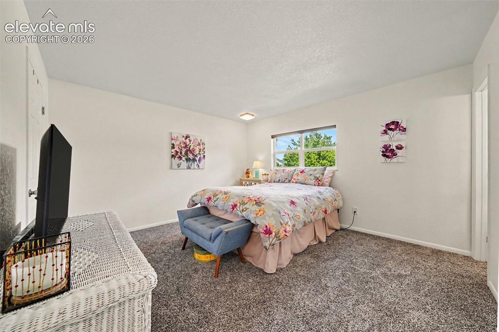 5393 Galena Drive Colorado Springs CO 80918