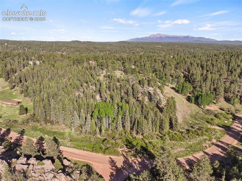 658 Conestoga Creek Road Florissant CO 80816