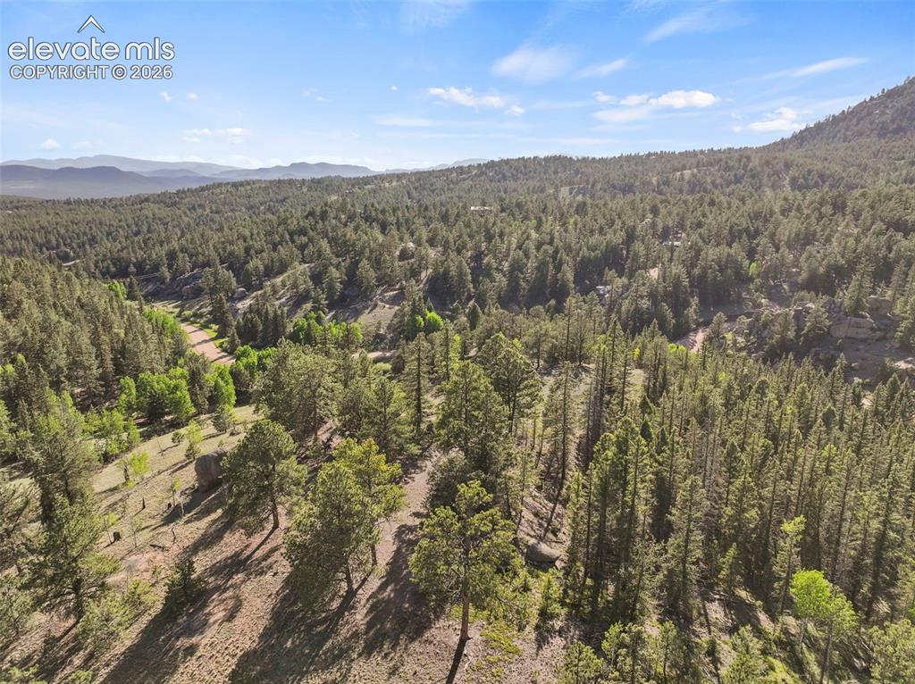 658 Conestoga Creek Road Florissant CO 80816