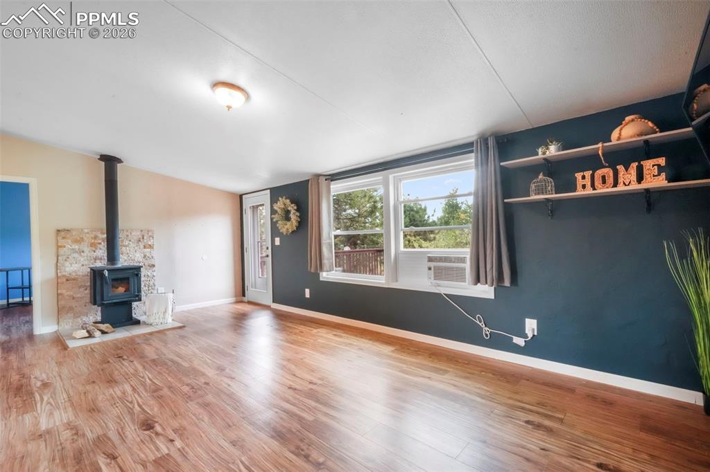 696 Calle De La Nieva Florissant CO 80816