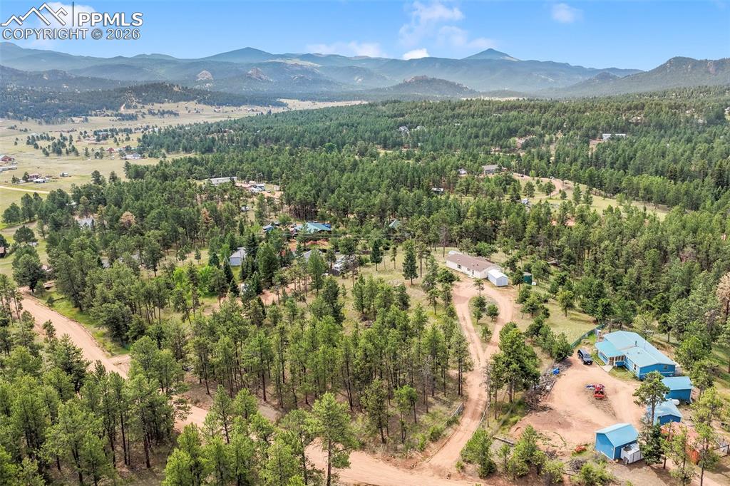 696 Calle De La Nieva Florissant CO 80816
