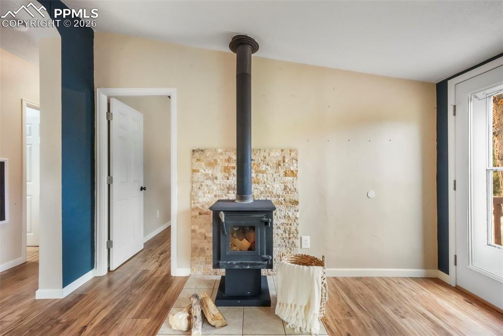 696 Calle De La Nieva Florissant CO 80816