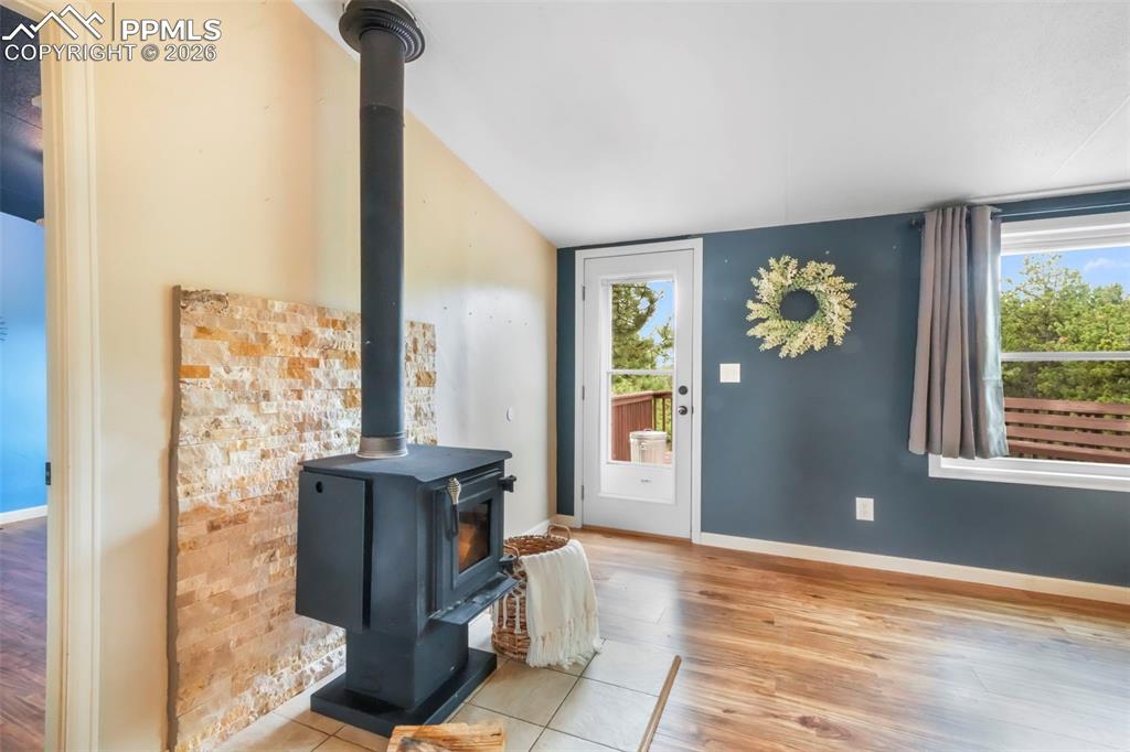 696 Calle De La Nieva Florissant CO 80816