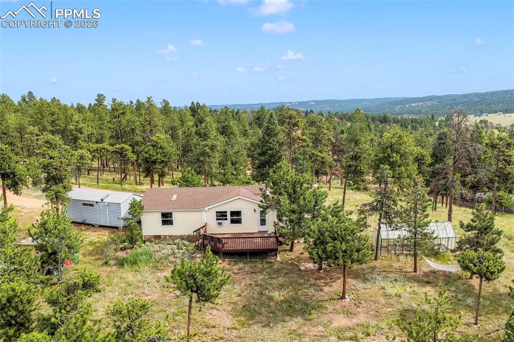 696 Calle De La Nieva Florissant CO 80816