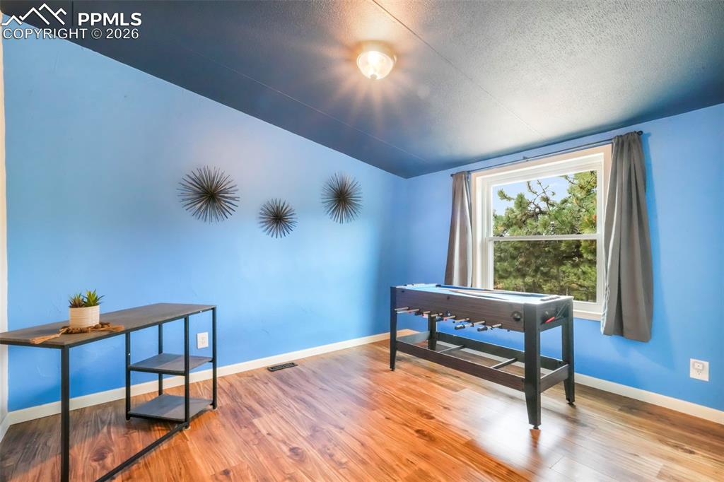 696 Calle De La Nieva Florissant CO 80816