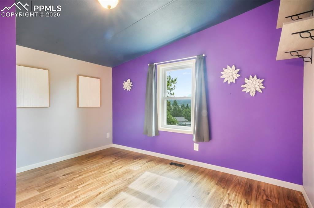 696 Calle De La Nieva Florissant CO 80816