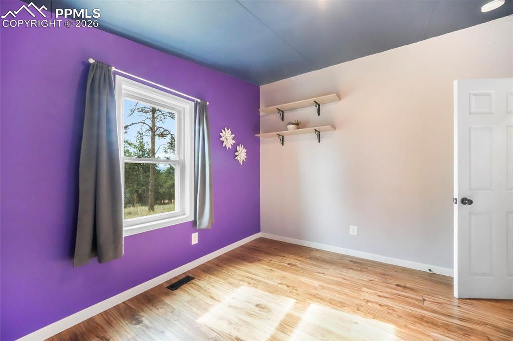 696 Calle De La Nieva Florissant CO 80816