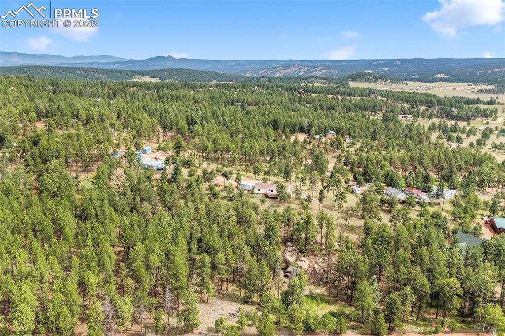 696 Calle De La Nieva Florissant CO 80816