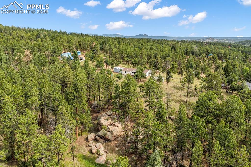 696 Calle De La Nieva Florissant CO 80816