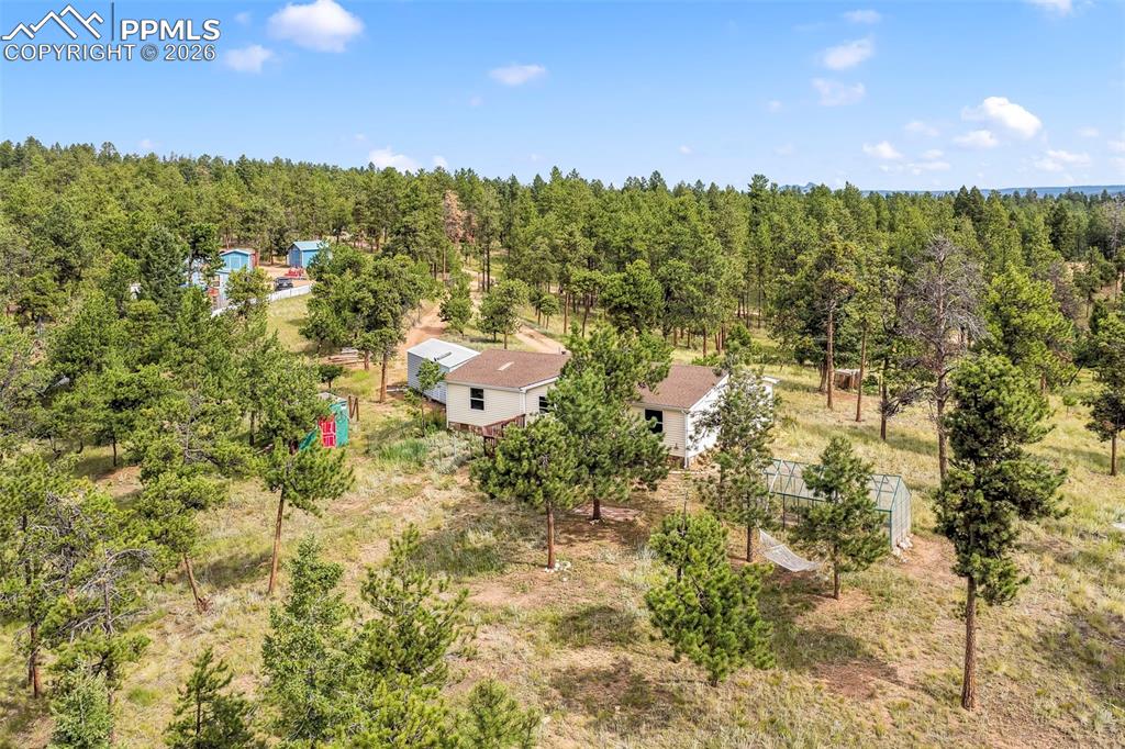 696 Calle De La Nieva Florissant CO 80816