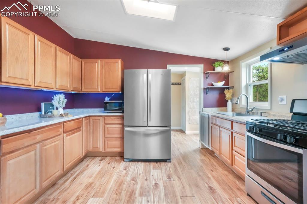 696 Calle De La Nieva Florissant CO 80816