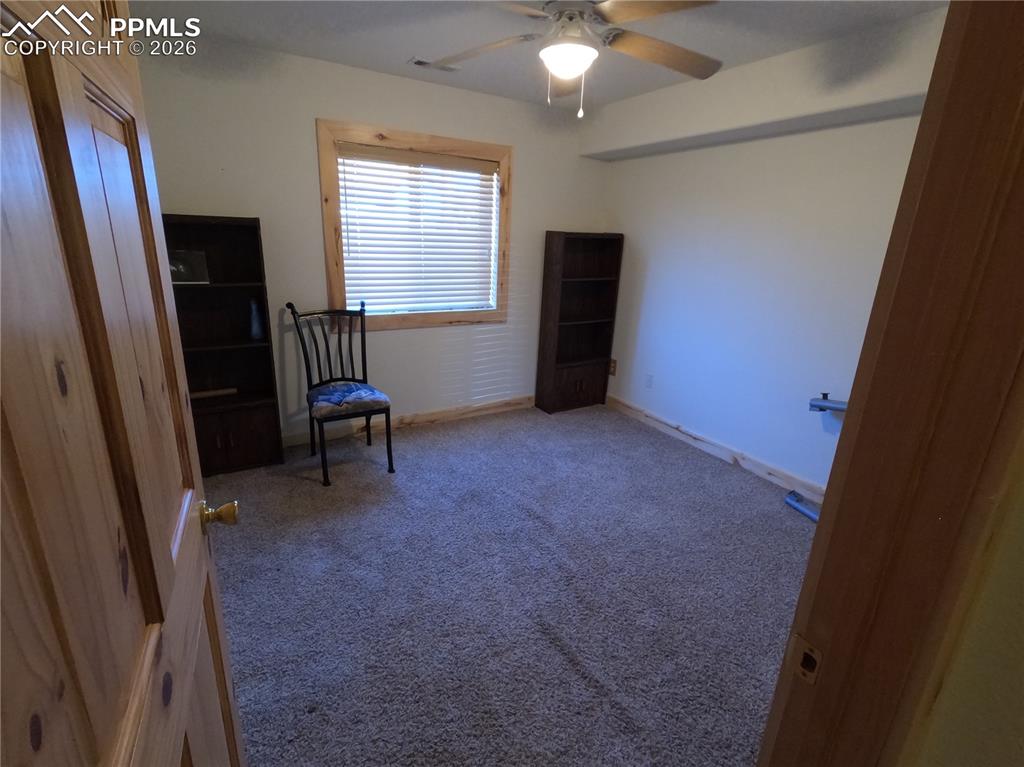 136 Thurlow Avenue Cripple Creek CO 80813