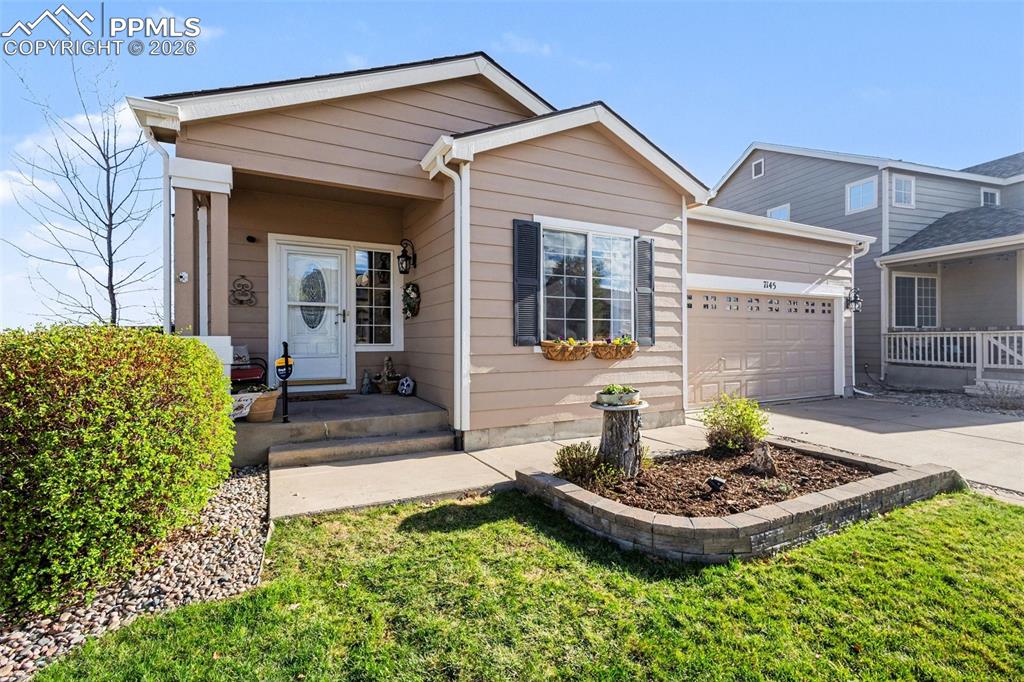 7145 Amber Ridge Drive Colorado Springs CO 80922