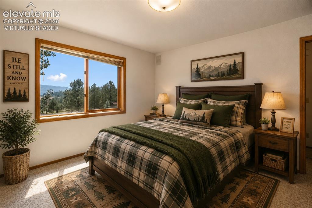 821 Red Eagle Court Woodland Park CO 80863