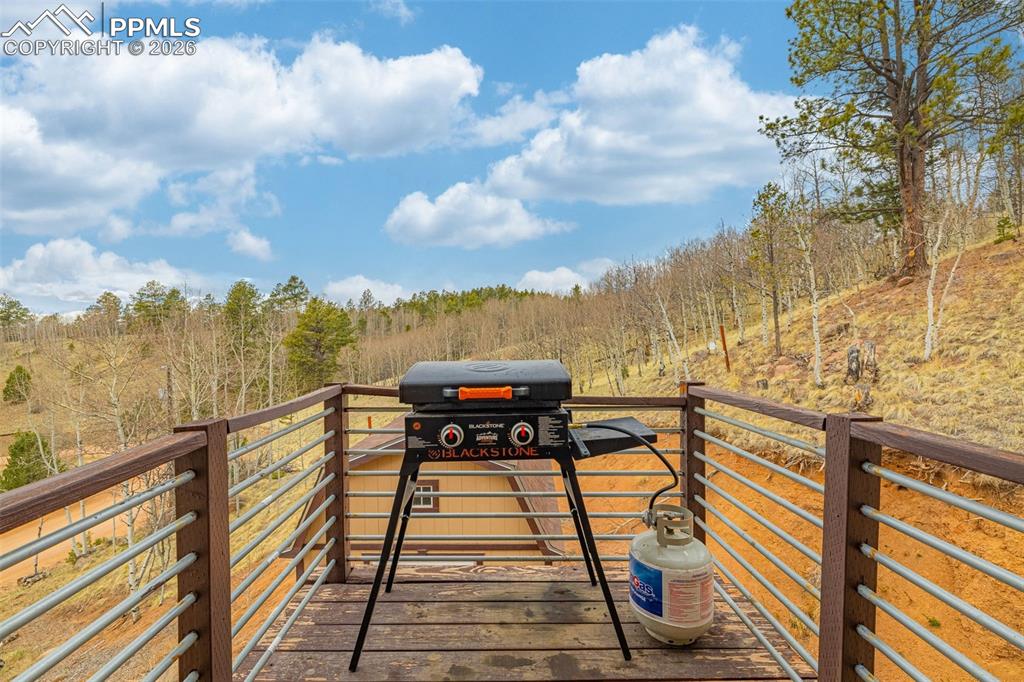 953 Yorktown Road Cripple Creek CO 80813
