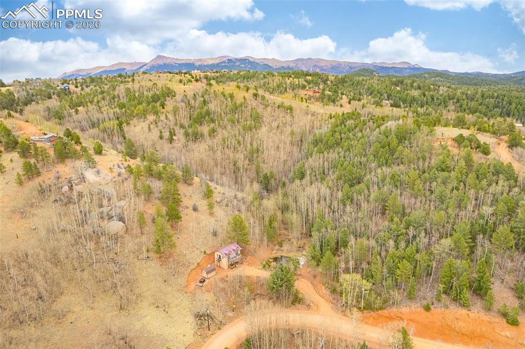 953 Yorktown Road Cripple Creek CO 80813