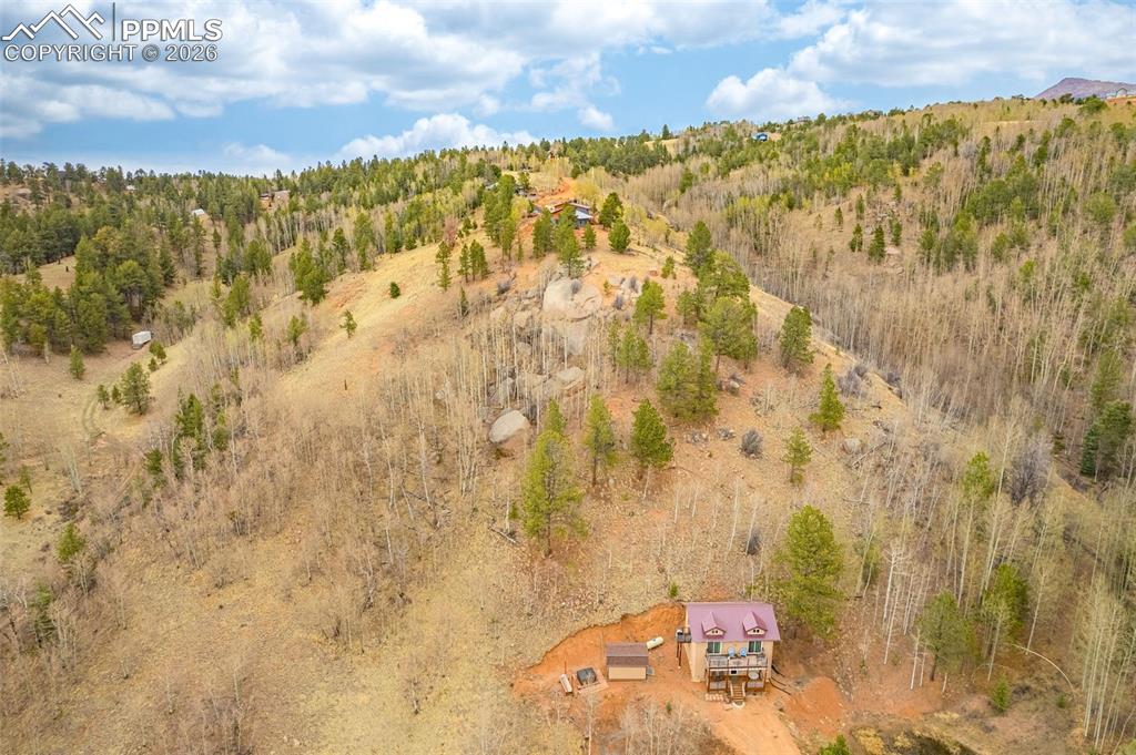953 Yorktown Road Cripple Creek CO 80813