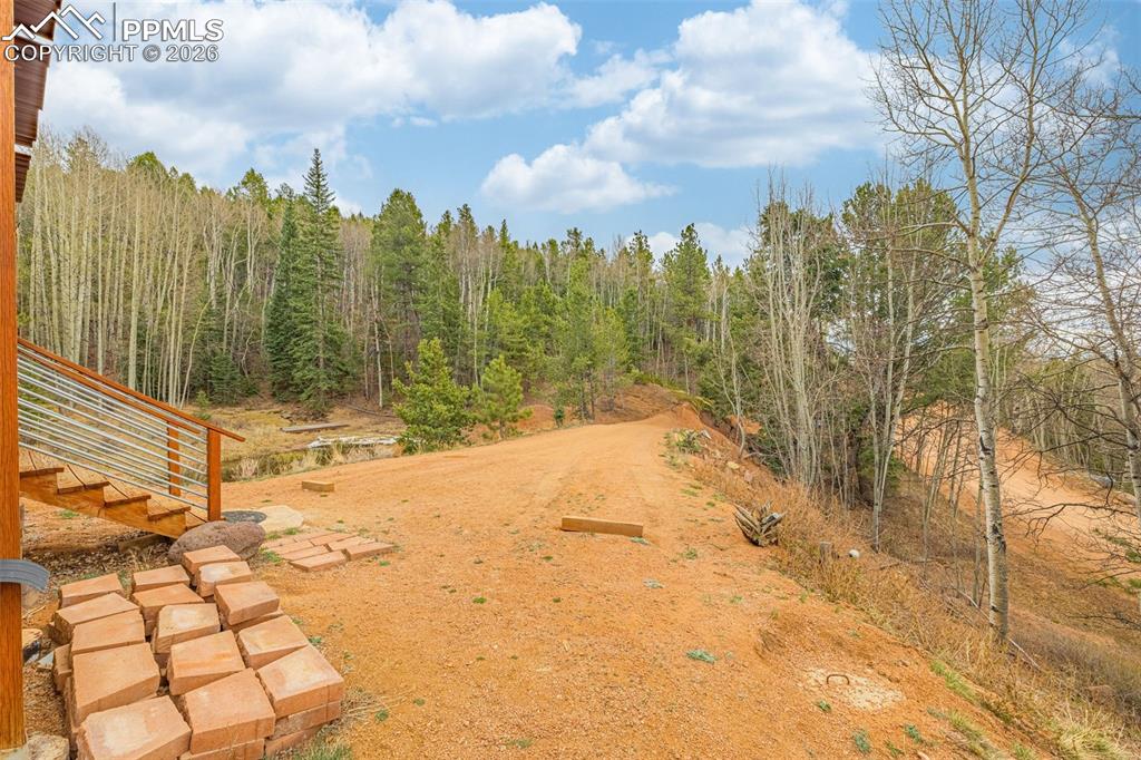 953 Yorktown Road Cripple Creek CO 80813