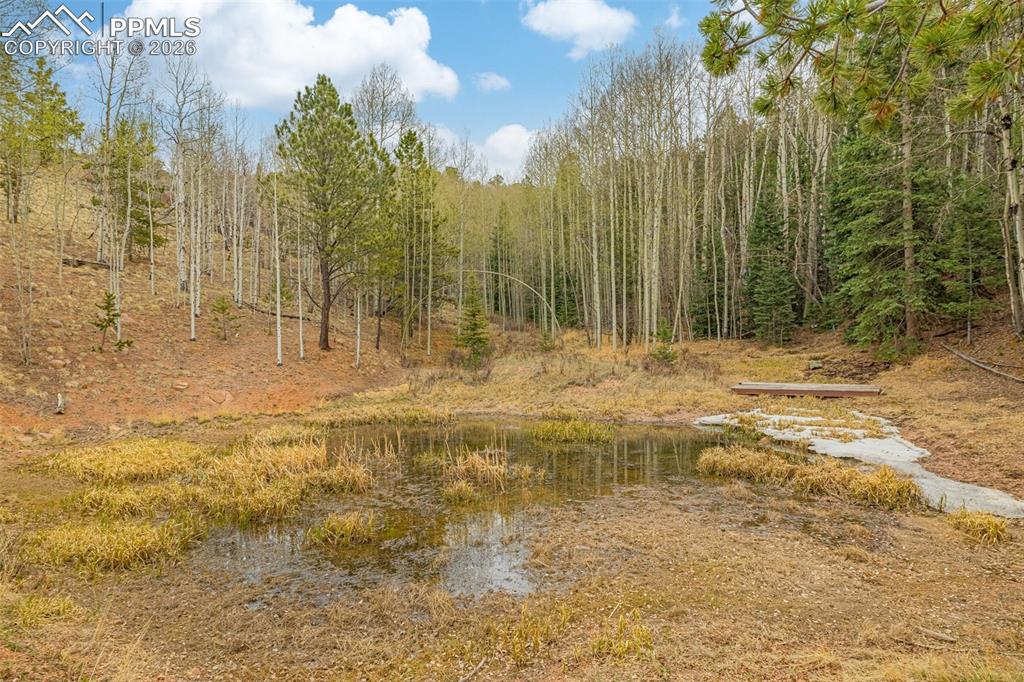 953 Yorktown Road Cripple Creek CO 80813