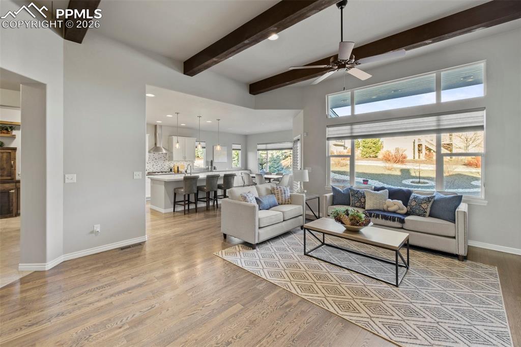 12485 Pensador Drive Colorado Springs CO 80921