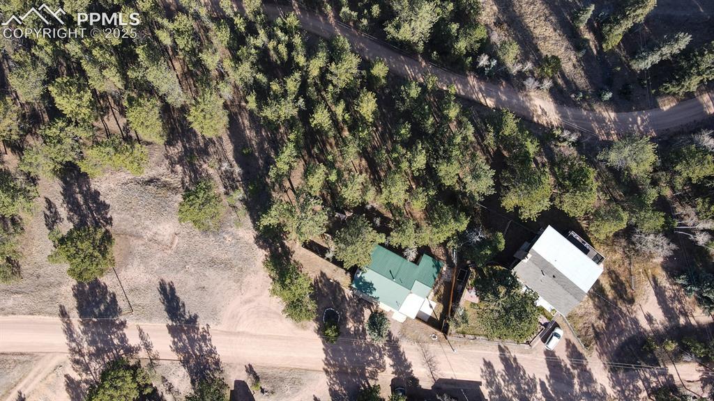 281 Mesa Drive Florissant CO 80816