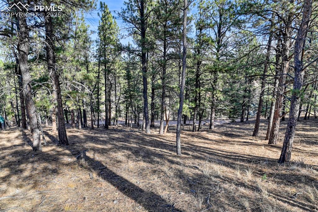 281 Mesa Drive Florissant CO 80816