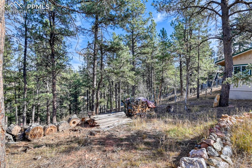 281 Mesa Drive Florissant CO 80816