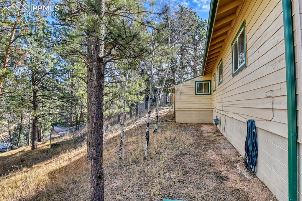 281 Mesa Drive Florissant CO 80816