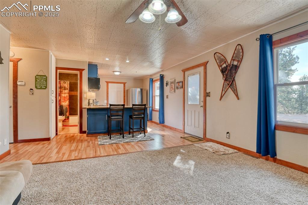281 Mesa Drive Florissant CO 80816