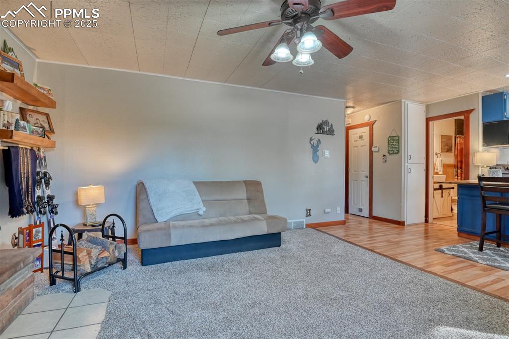 281 Mesa Drive Florissant CO 80816