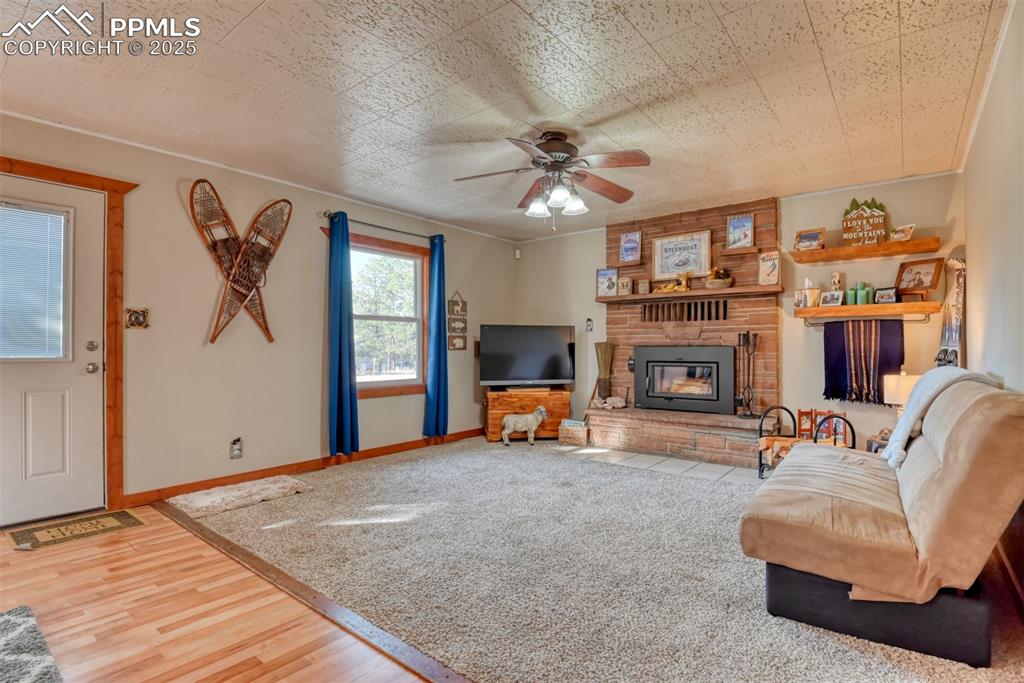281 Mesa Drive Florissant CO 80816