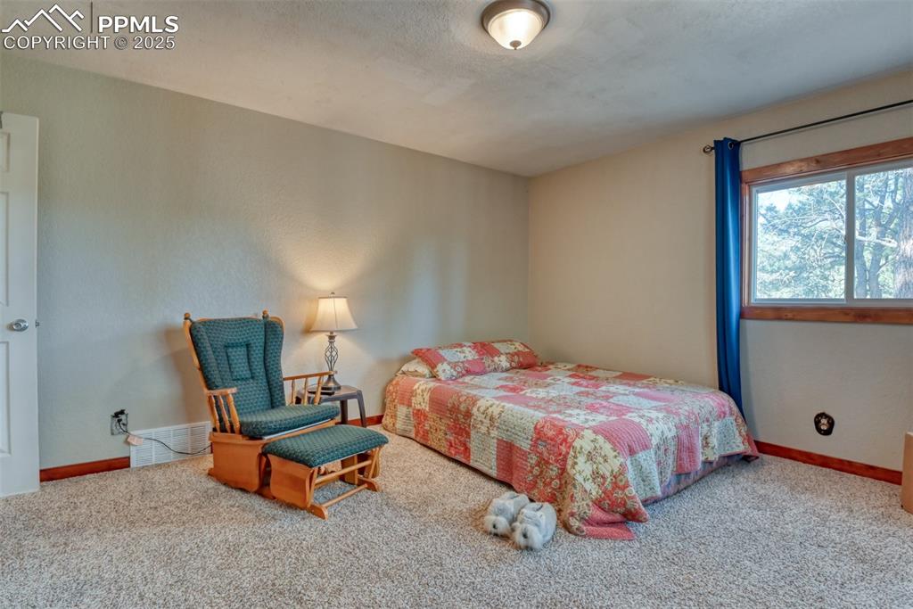 281 Mesa Drive Florissant CO 80816