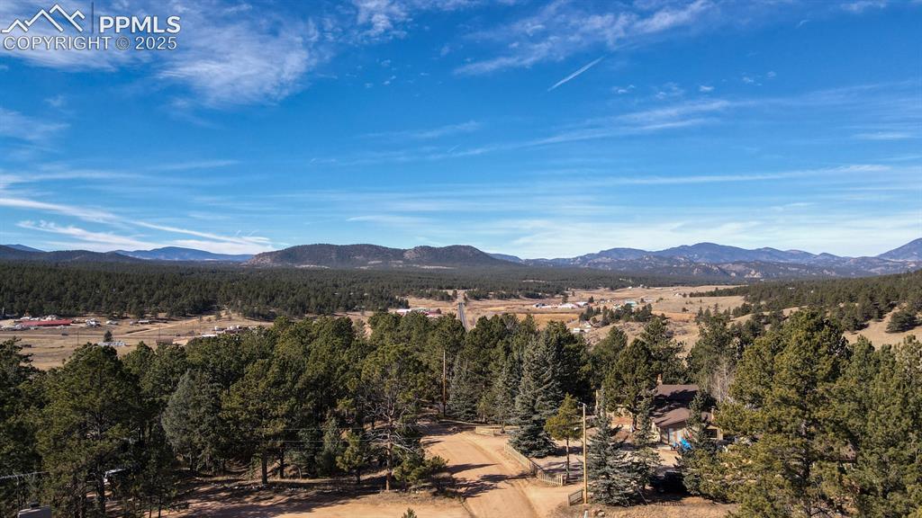 281 Mesa Drive Florissant CO 80816
