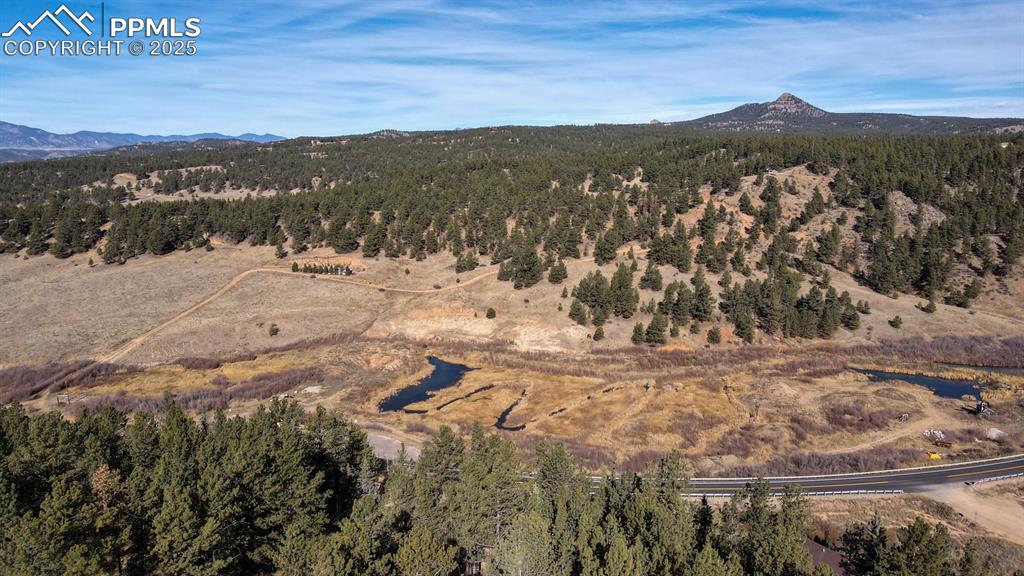 281 Mesa Drive Florissant CO 80816