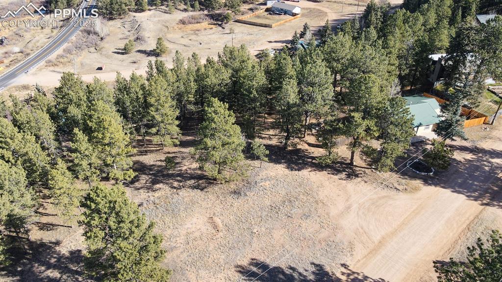 281 Mesa Drive Florissant CO 80816