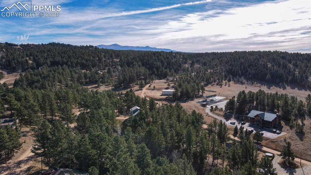 281 Mesa Drive Florissant CO 80816