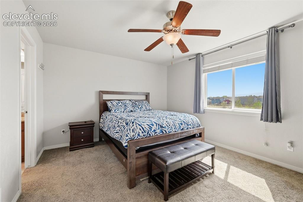 9670 Silver Stirrup Drive Colorado Springs CO 80925