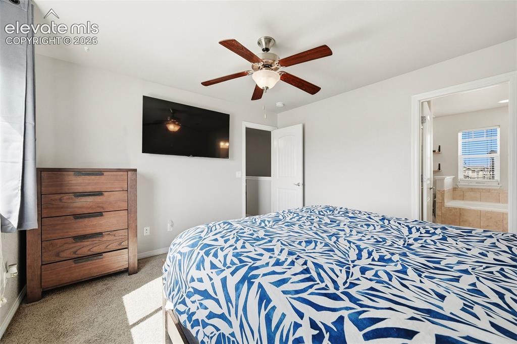 9670 Silver Stirrup Drive Colorado Springs CO 80925