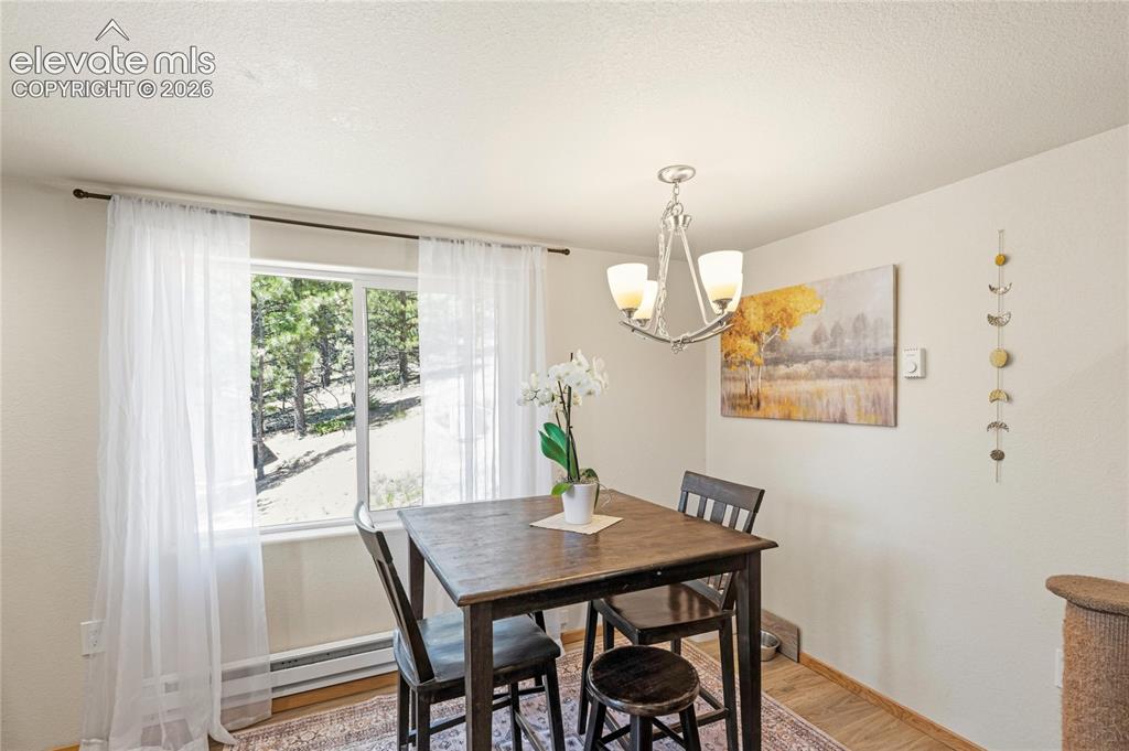 318 Klitowya Trail Woodland Park CO 80863