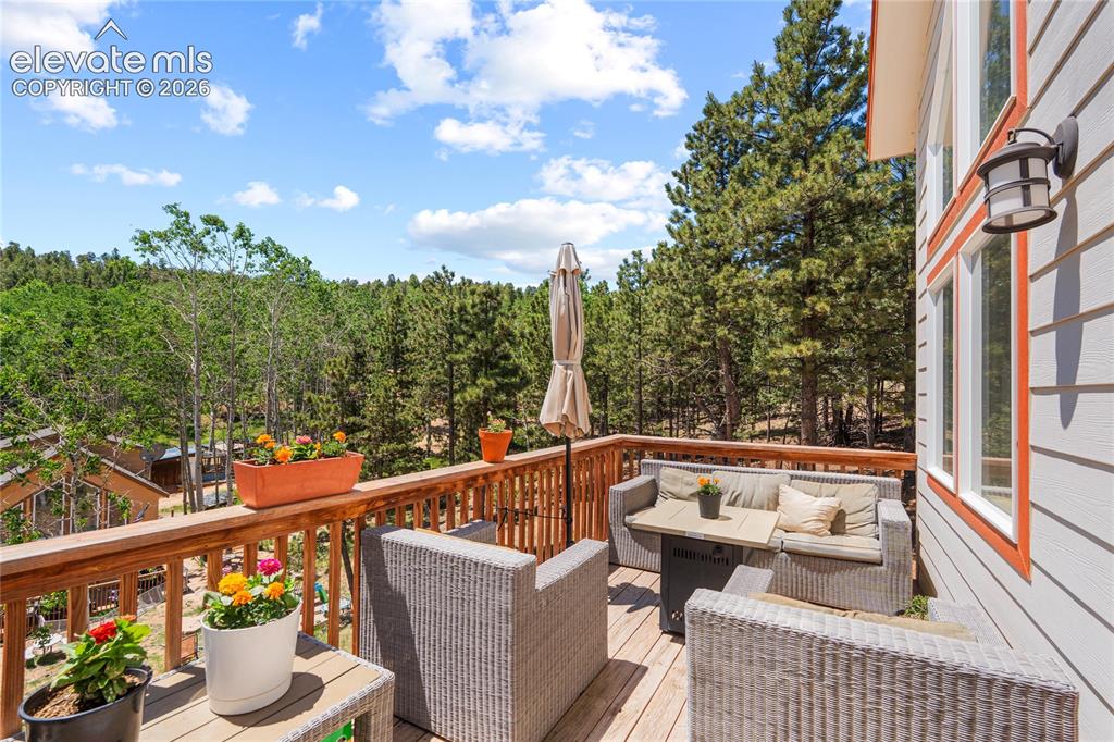 318 Klitowya Trail Woodland Park CO 80863