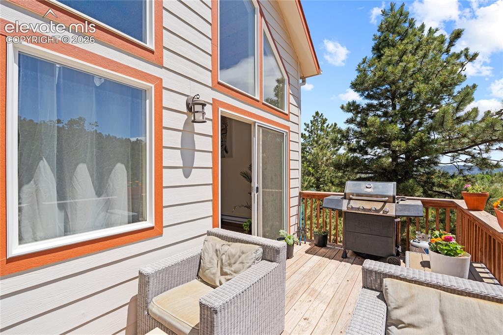 318 Klitowya Trail Woodland Park CO 80863