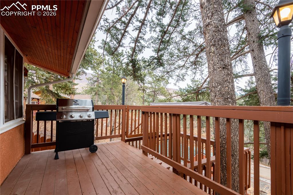 4410 Martindale Avenue Cascade CO 80809