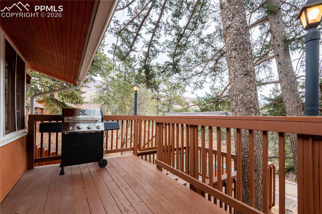 4410 Martindale Avenue Cascade CO 80809