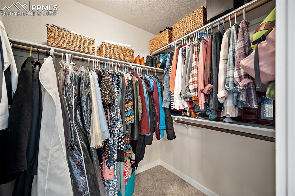 8274 Harvey Logan Drive Colorado Springs CO 80908