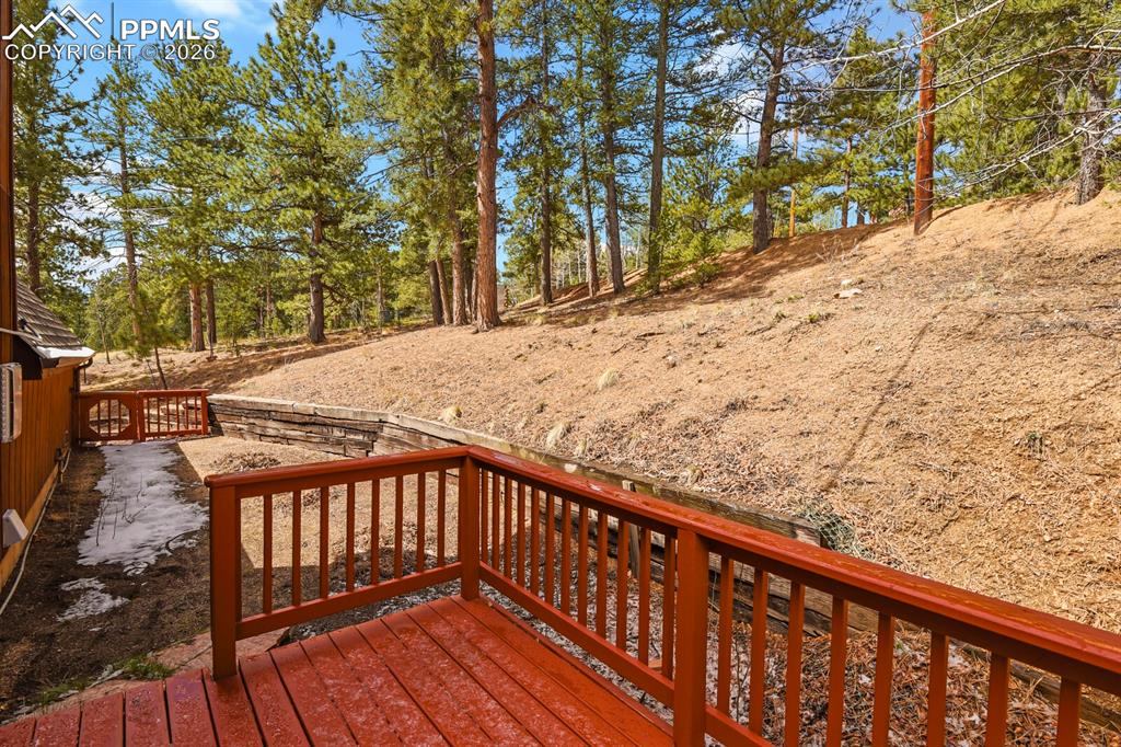 33 Vista Drive Woodland Park CO 80863