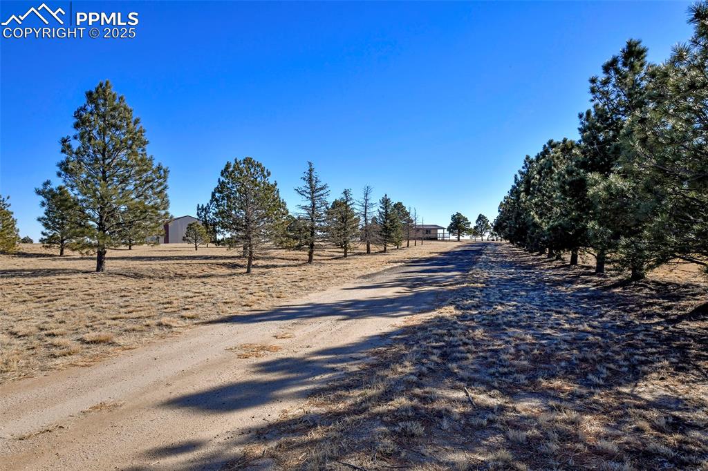 20402 County Road 2 Rush CO 80833